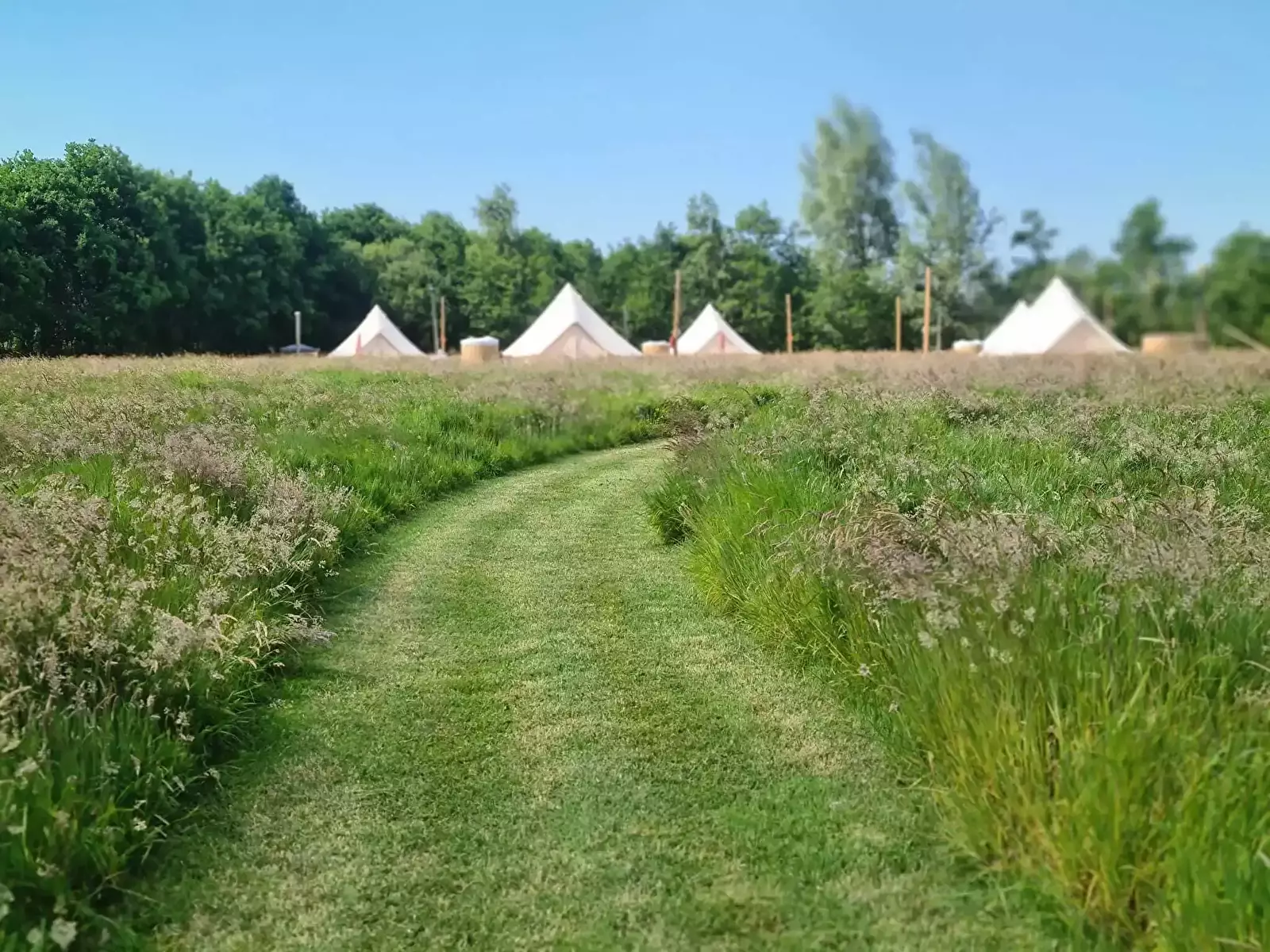 Glamping Mini-camping De Dobbe