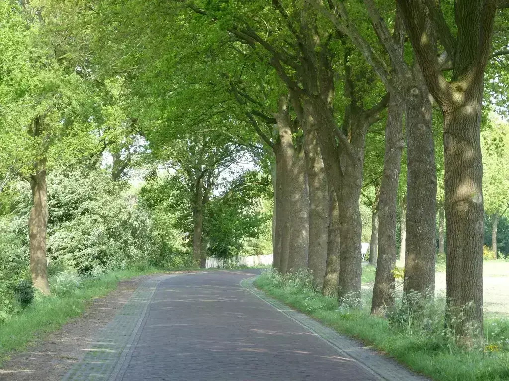 Obecné Mini-camping Terhorst