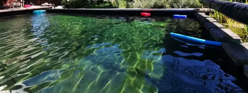 Nuotare nel lago o nello stagno Minicamping de Mulkerij