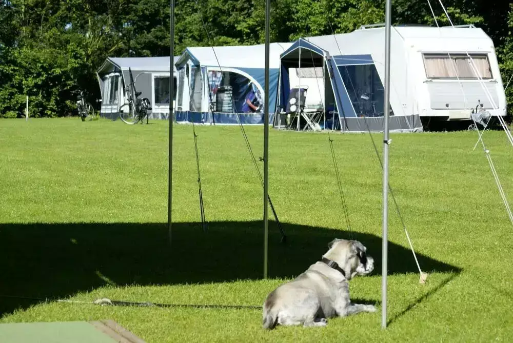 Hondvriendelijk Minicamping 't Munnikenhof