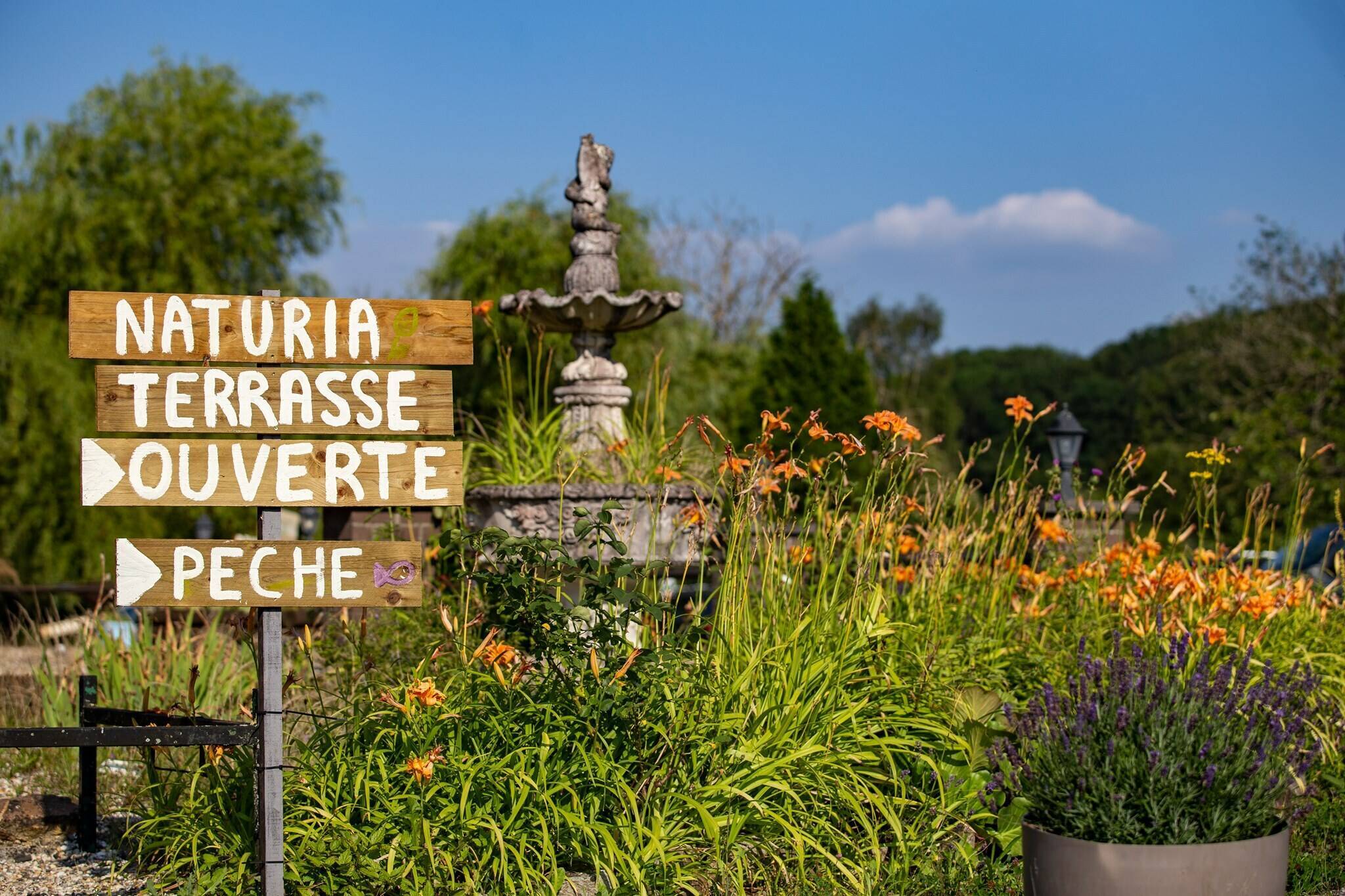 Naturia Ecocamp De Chimay In Robechies Belgi 2025 Boek Jouw Naturia Ecocamp De Chimay Locatie 250605