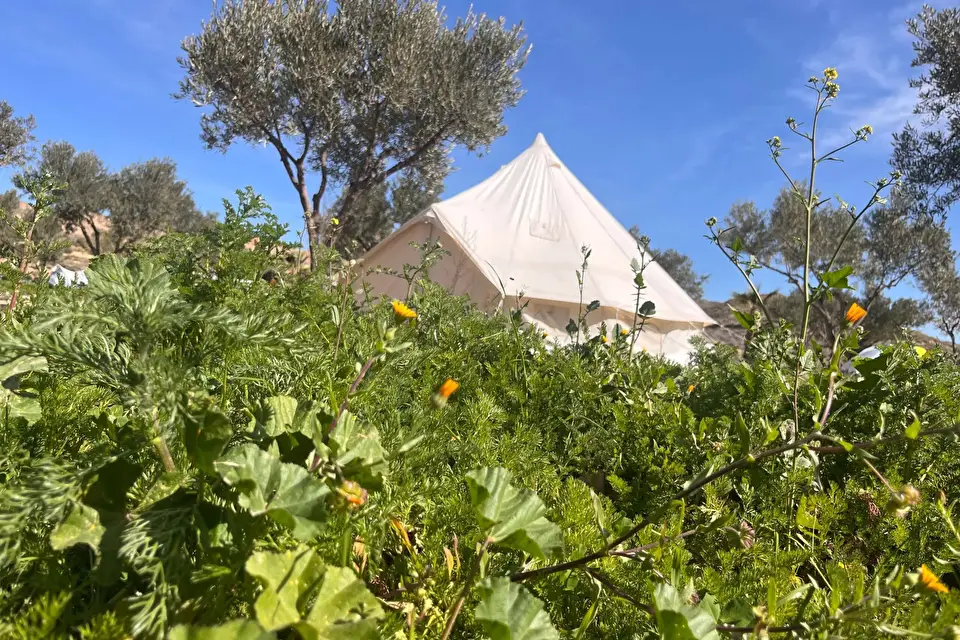 Oasis Al-Hamam