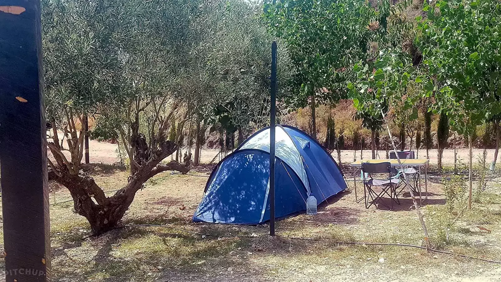 Staanplaats Pachamama Ecocamping