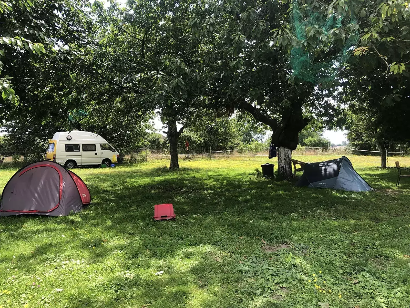 Pitch Paradis des Oiseaux