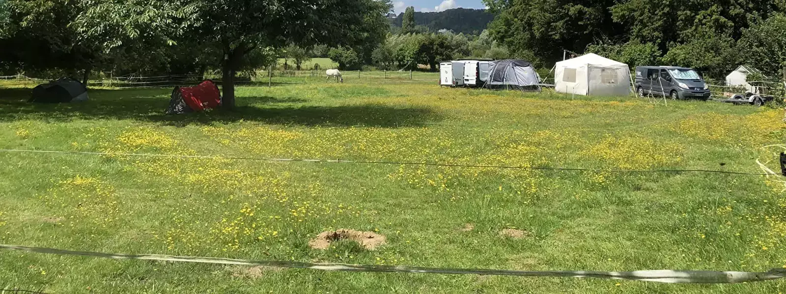 Pitch Paradis des Oiseaux