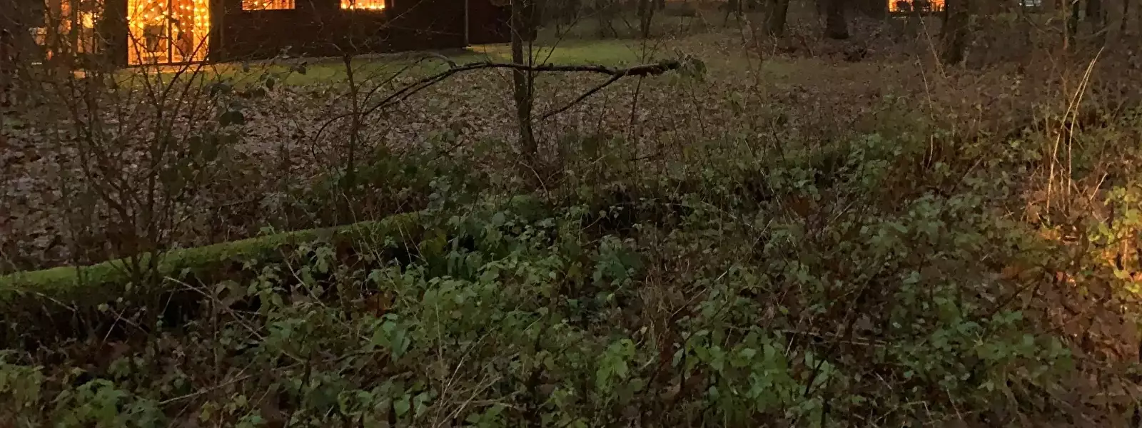 Domek letniskowy Park Landgoed Ginkelduin - Molecaten