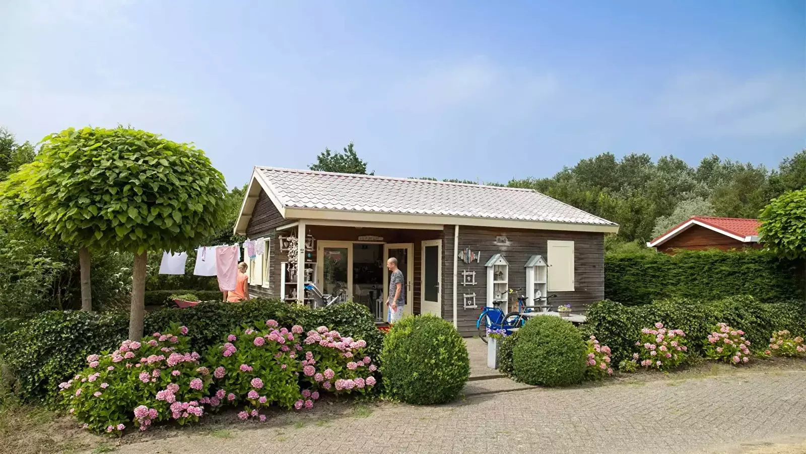Chalet-Bungalow Park Van Iterson - Molecaten