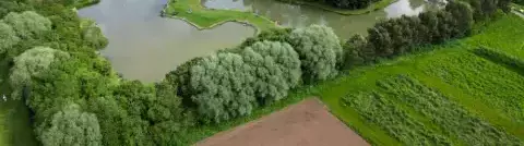 General Pine Trees Leisure Park