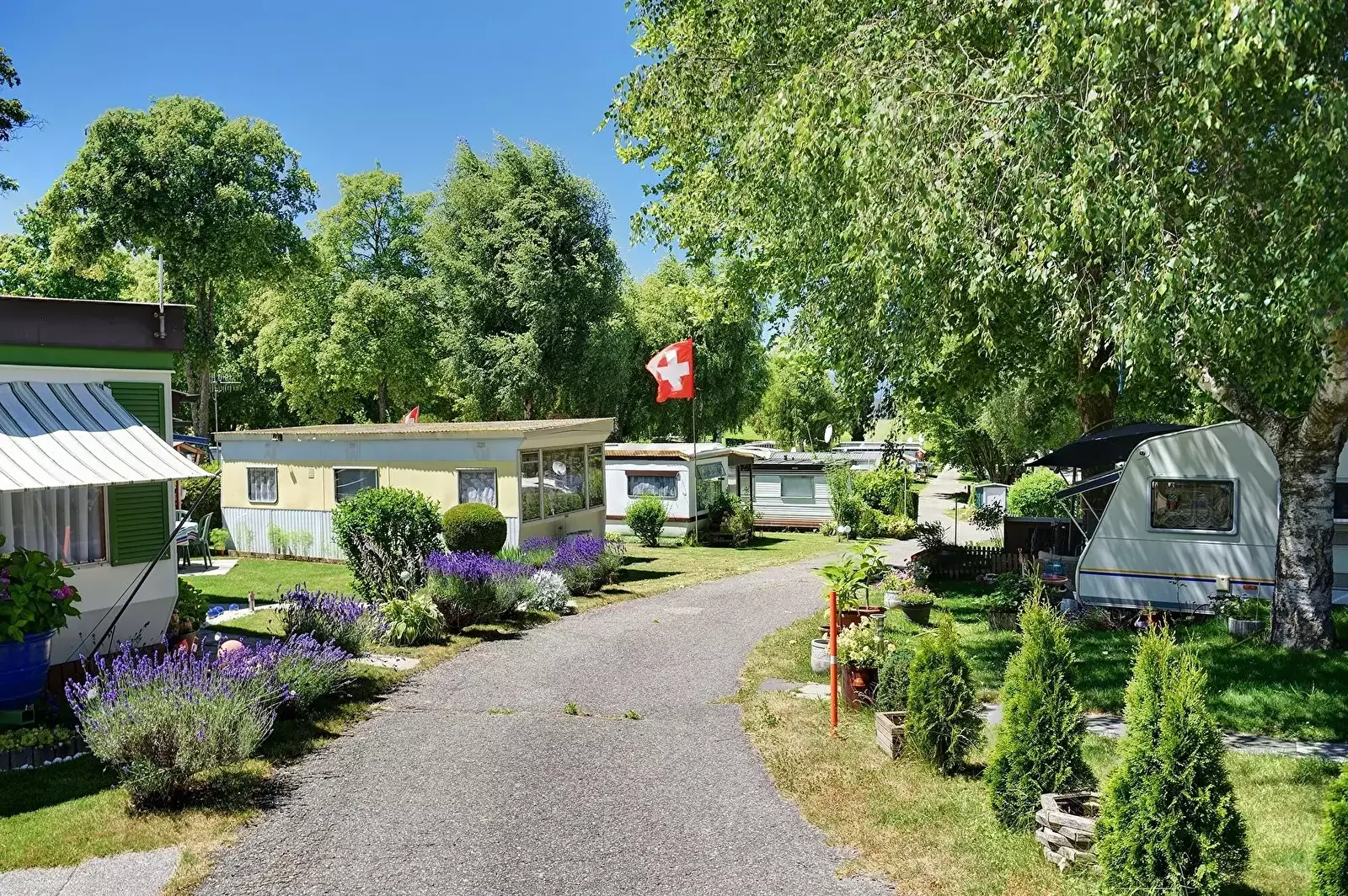 Mobilheim Piscine Camping