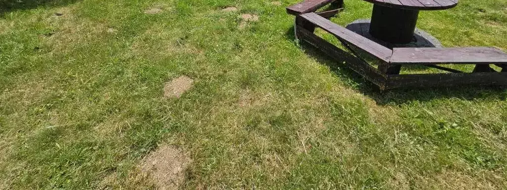 Pohled Plav Lake Camping