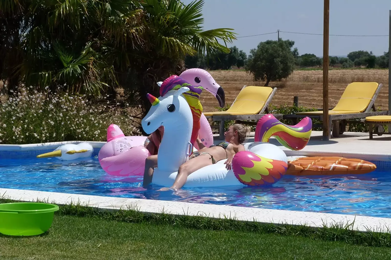 Swimming pool Quinta dos Doze Sobreiros