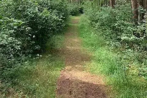 Obecné Ramsvik Stugby & Camping