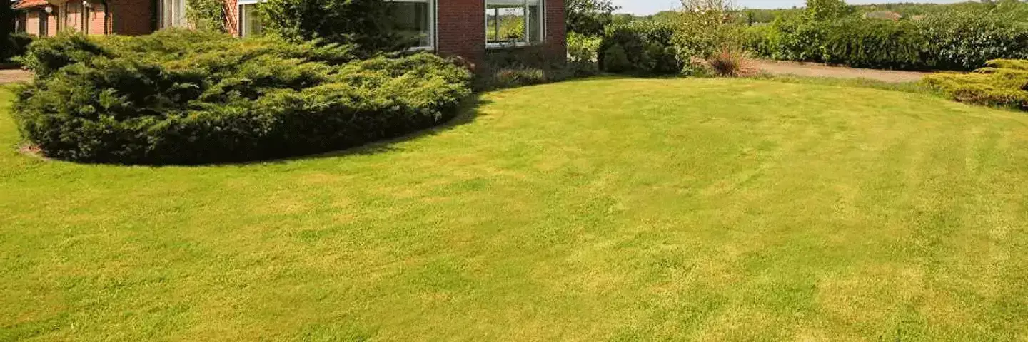 Cabana-Bungalow Resort De Arendshorst Ommen