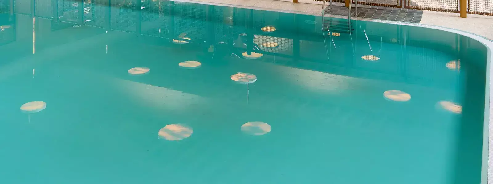 Indoor swimming pool Safari Resort Beekse Bergen
