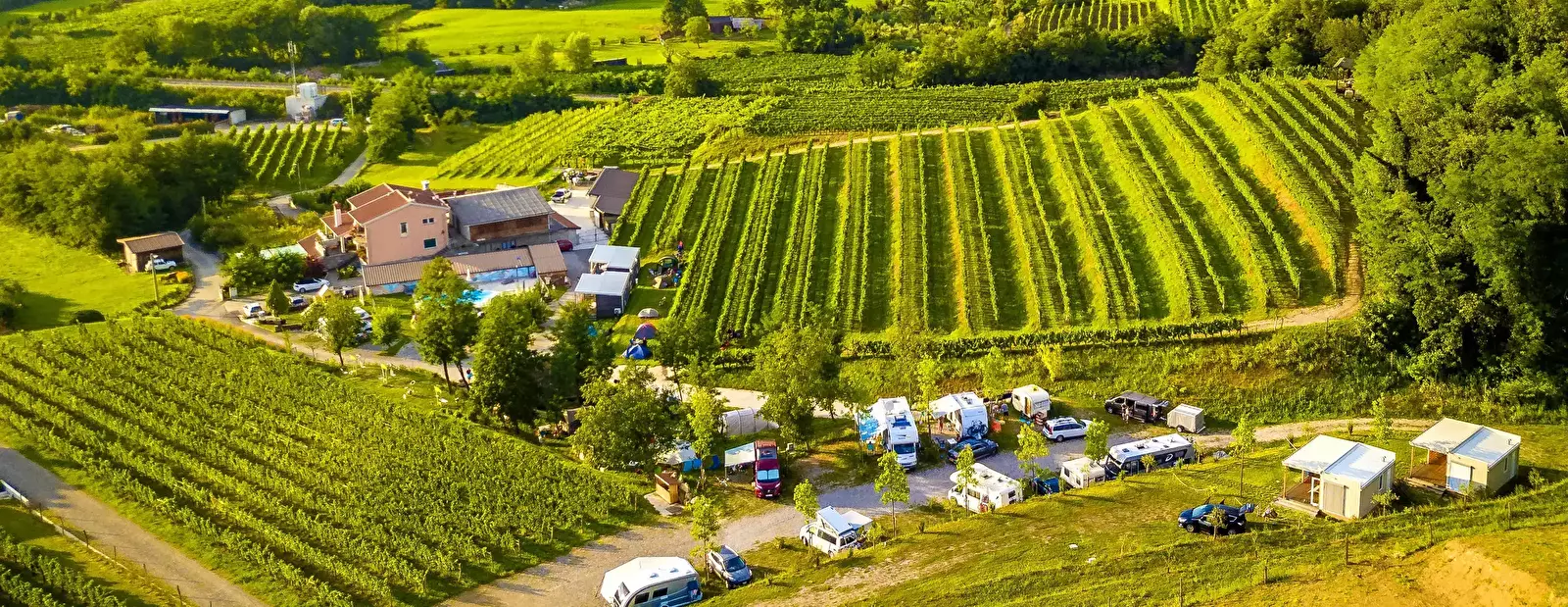 Panoramica Saksida Wine & Camping Resort