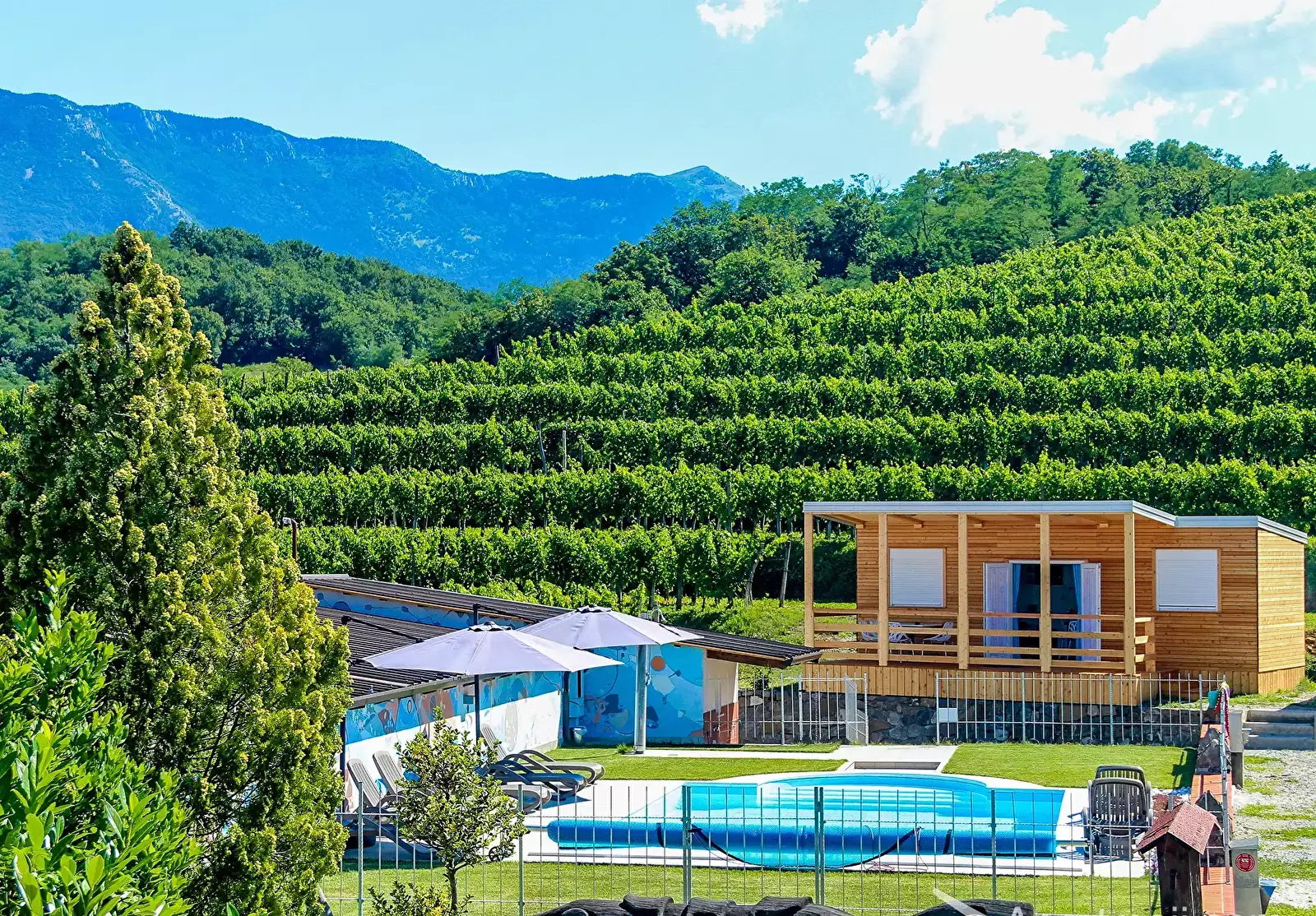 Piscina Saksida Wine & Camping Resort