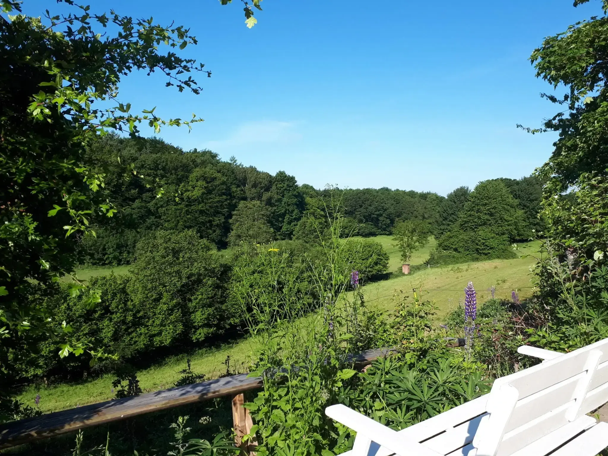 Seecamping Gläserkoppel in Schellhorn, Deutschland (2026)