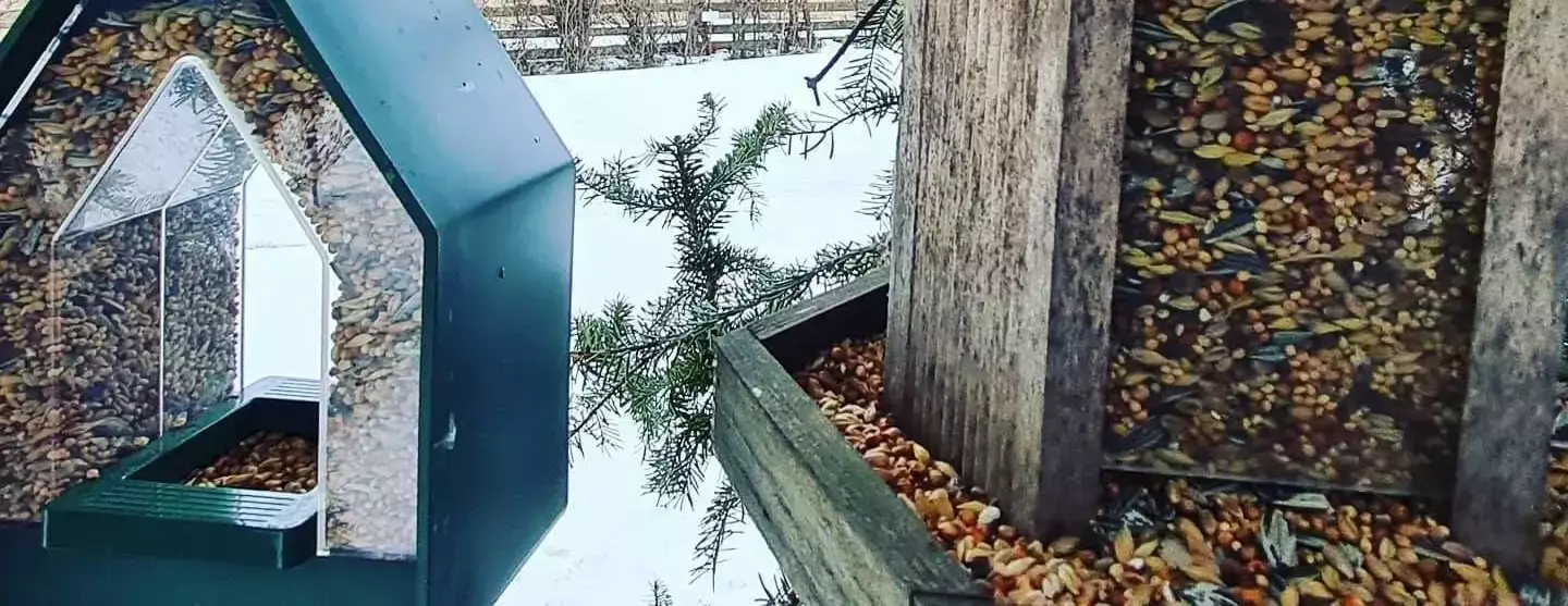 Obecné Seecamping Wimmer