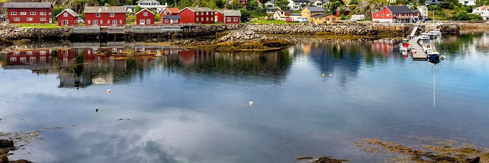 Skårungen
