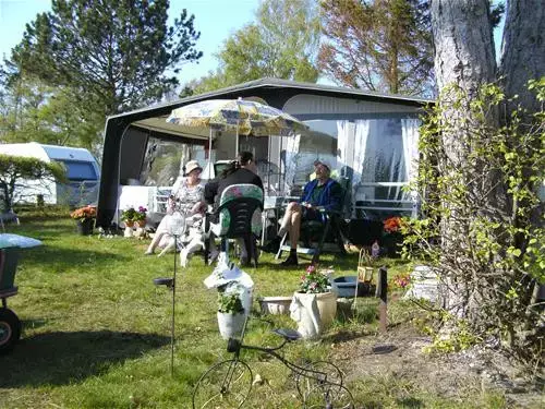 Stan Solholm Camping