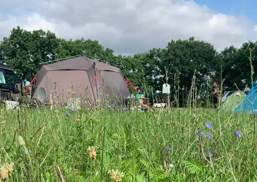 Plads Strandbad and Camping Oderbruch am Baggersee Gusow