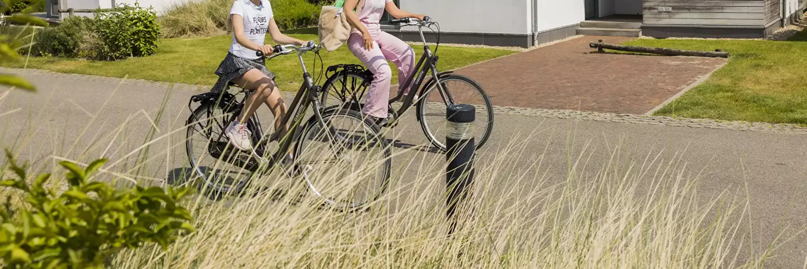 Chalet-Bungalow-Huisje Strandpark Duynhille - Roompot