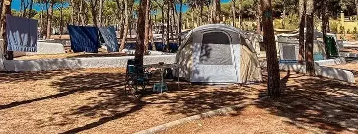 Piazzola Taiga Puerto Santa Maria