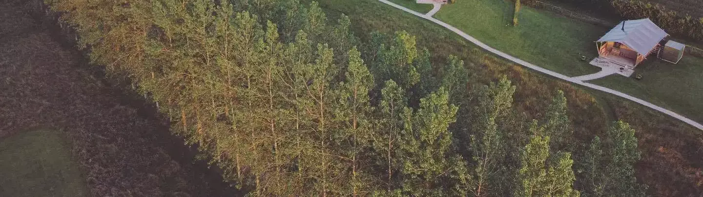 Overview Tall Trees Glamping