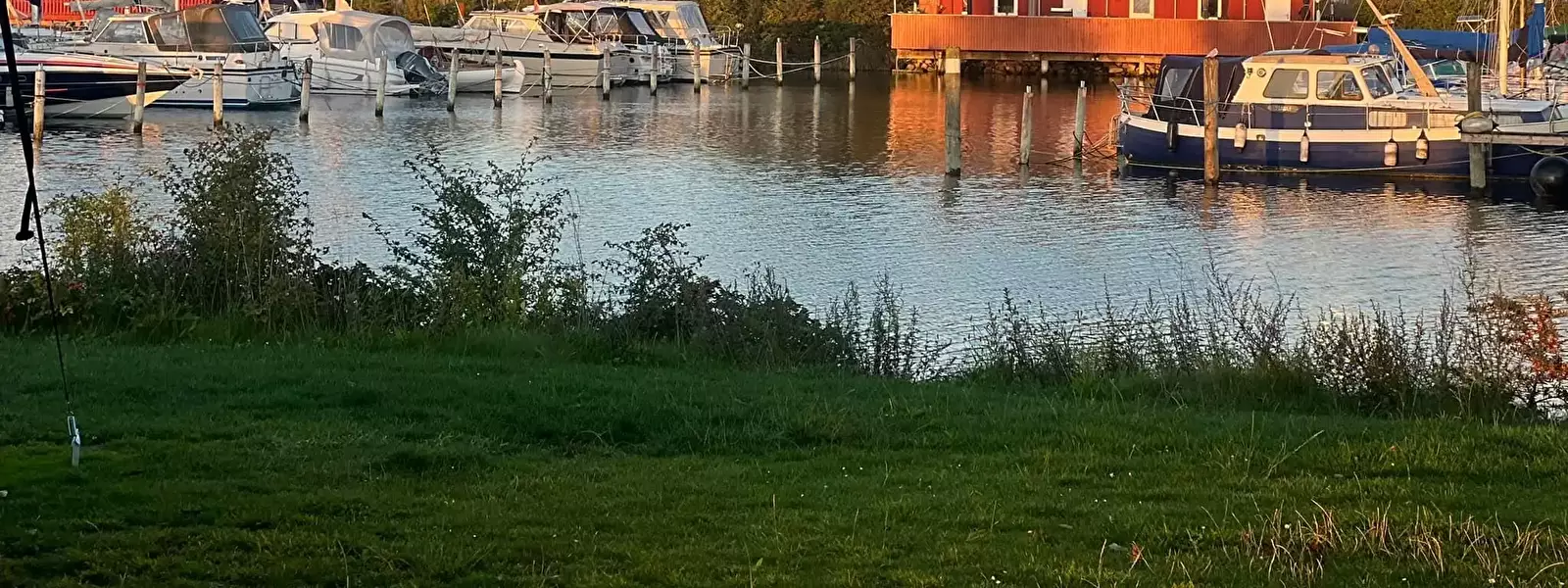 Tangloppen Camping