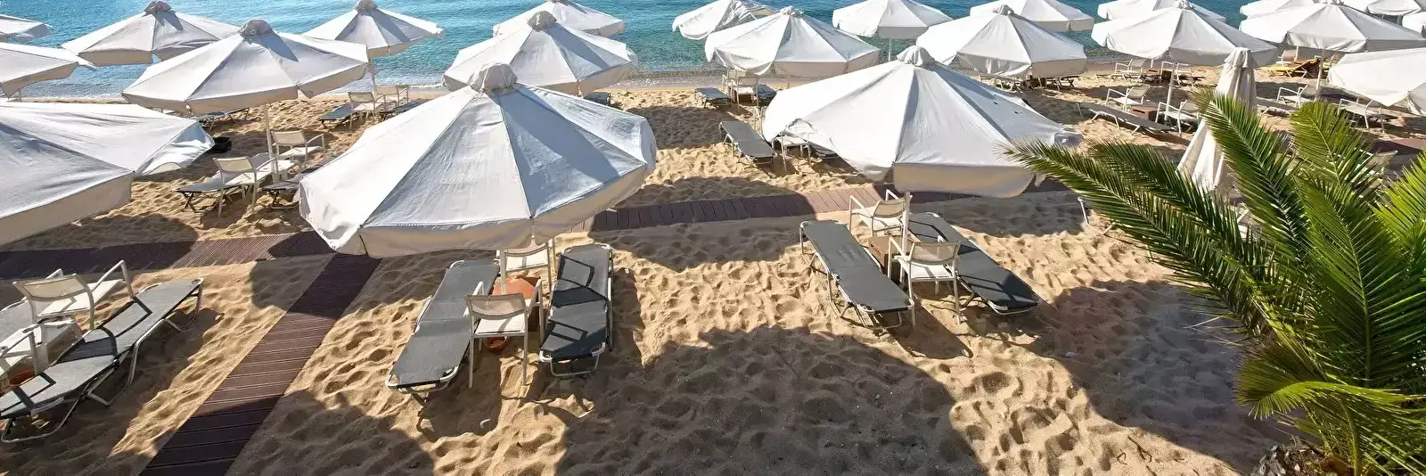 Beach Terra Camping