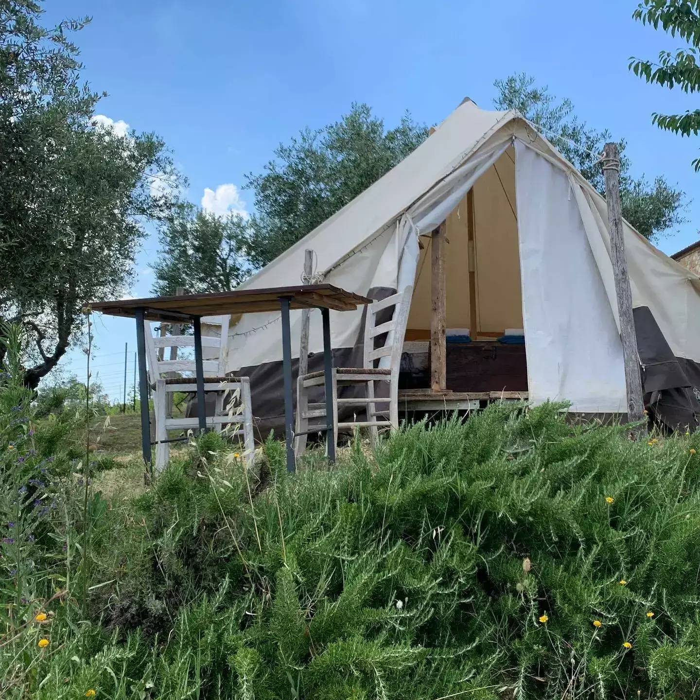 Tenda The Lazy Olive Glamping