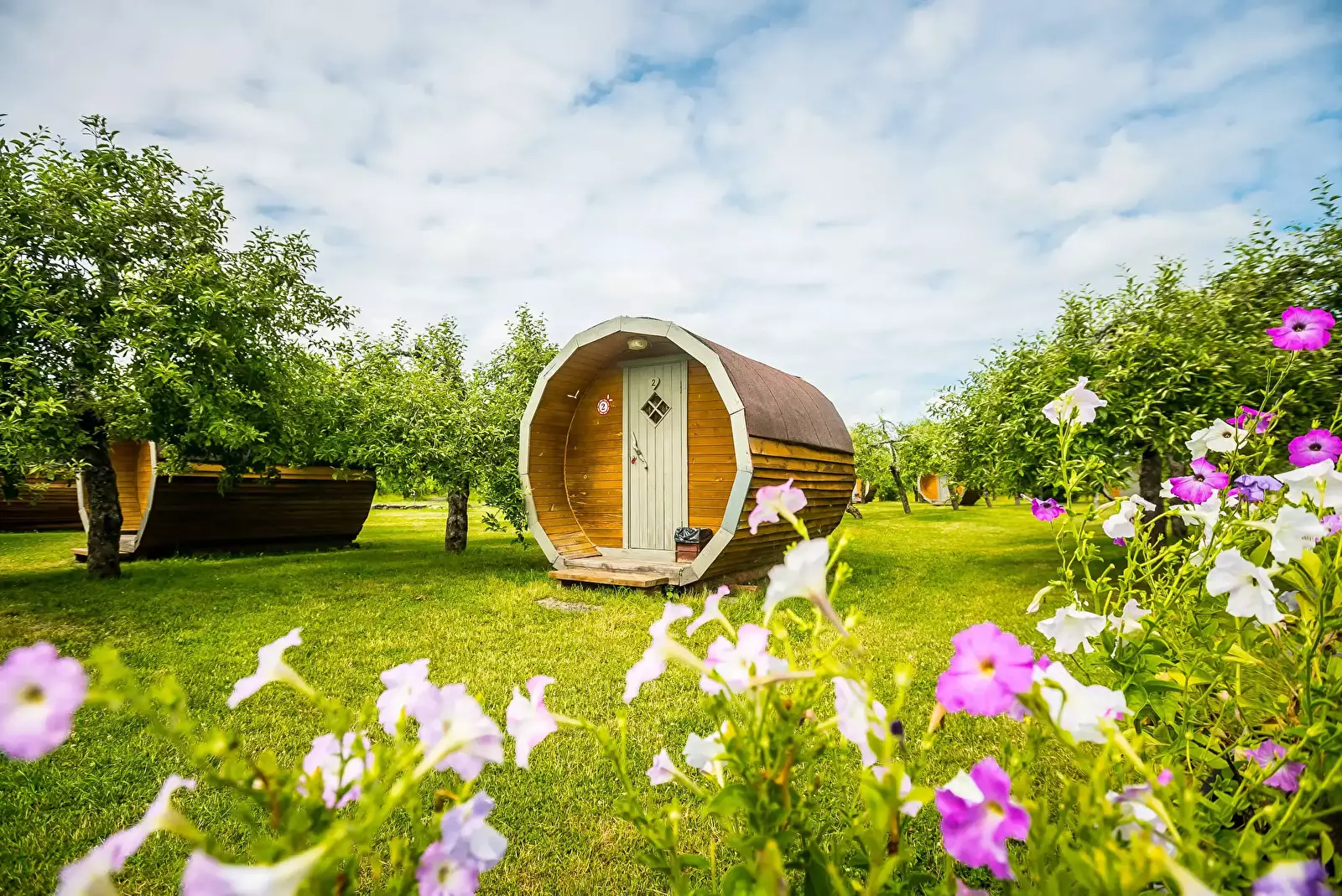 Glamping Vetsi Tall Camping