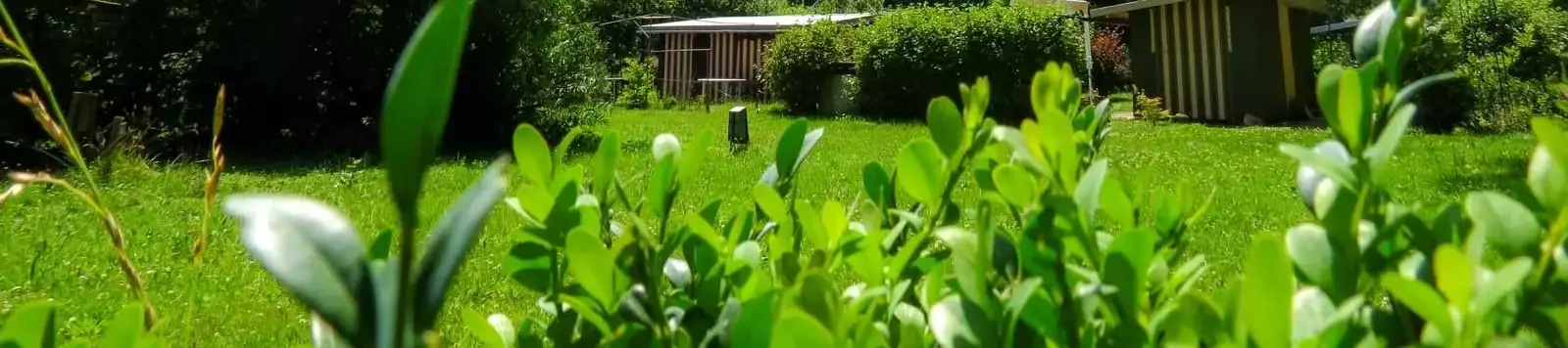 Pohled Waldcamping Stubenweiher