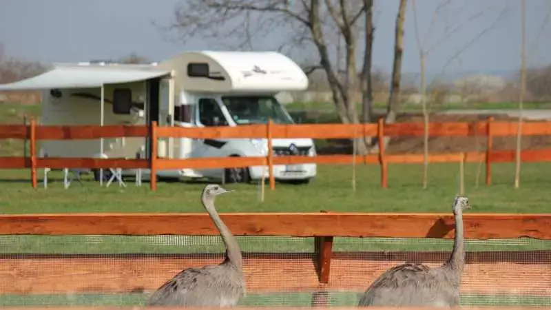 Obecné Zelčín Zoopark Camping
