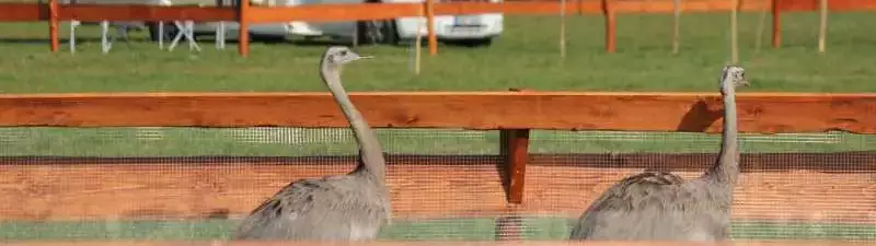Stání pro karavany Zelčín Zoopark Camping