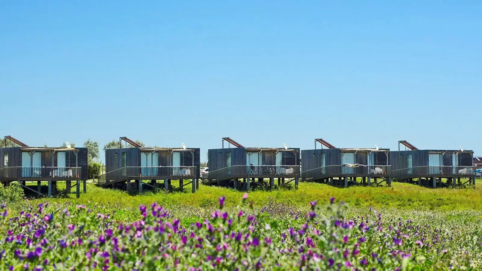 Mobile home Zmar Eco Experience