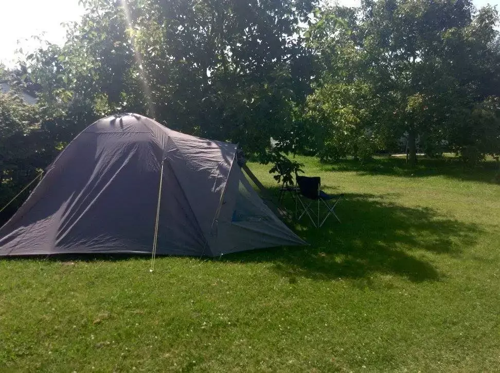 Tent Zorg- En Kaasboerderij Pitteperk